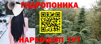 крисы Апшеронск