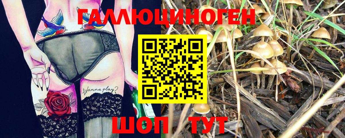 Псилоцибиновые грибы Psilocybine cubensis  Галлюциногенные грибы мухоморы  Новокубанск 