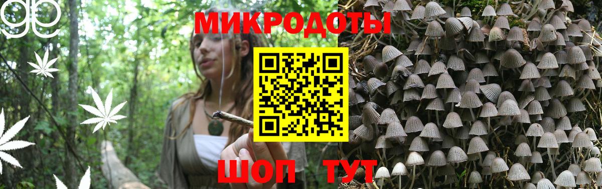 Псилоцибиновые грибы MAGIC MUSHROOMS  Вход с VPN  Галлюциногенные грибы Magic Shrooms  Новокубанск 