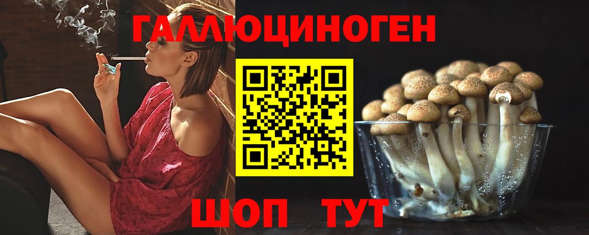 Псилоцибиновые грибы Magic Shrooms Новокубанск